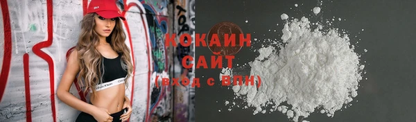 крисы Абаза