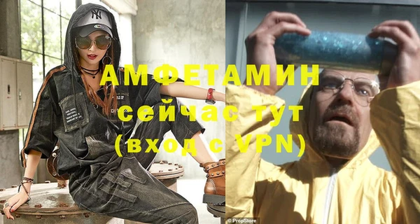 крисы Абаза