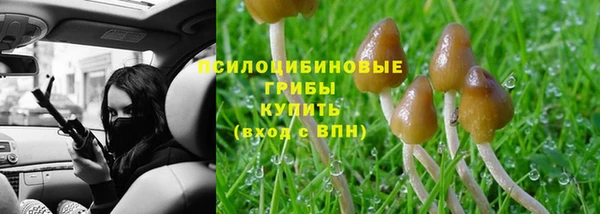 прущая мука Абдулино